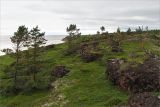 Image of landscape