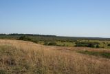 Image of landscape
