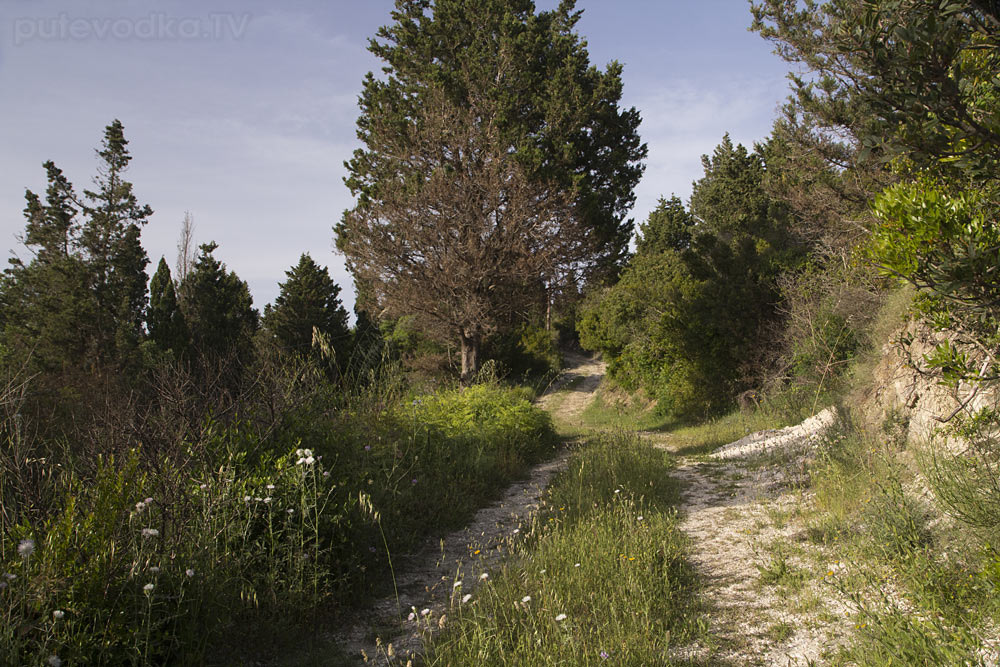 Мафраки, image of landscape/habitat.