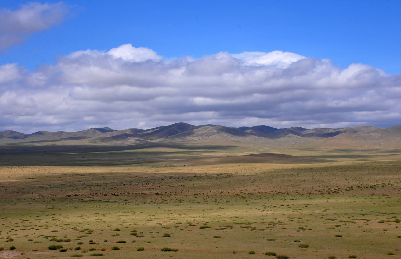 Окрестности города Эрдэнэсант, image of landscape/habitat.