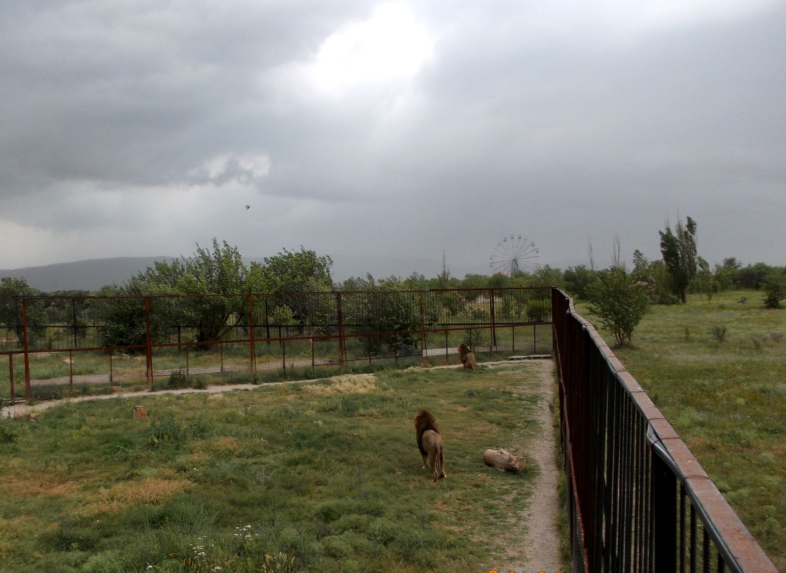 Тайган, image of landscape/habitat.