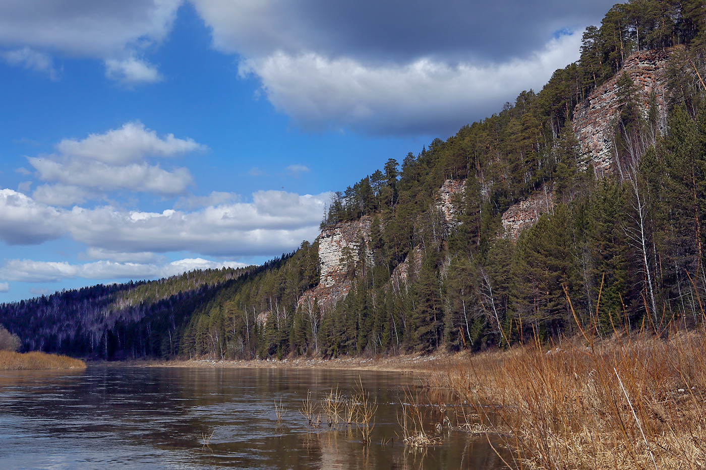 Камень Кирпичный и окрестности, image of landscape/habitat.
