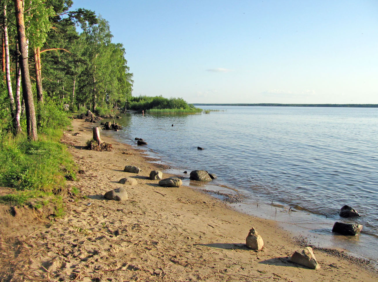 Рыбинское водохранилище, image of landscape/habitat.