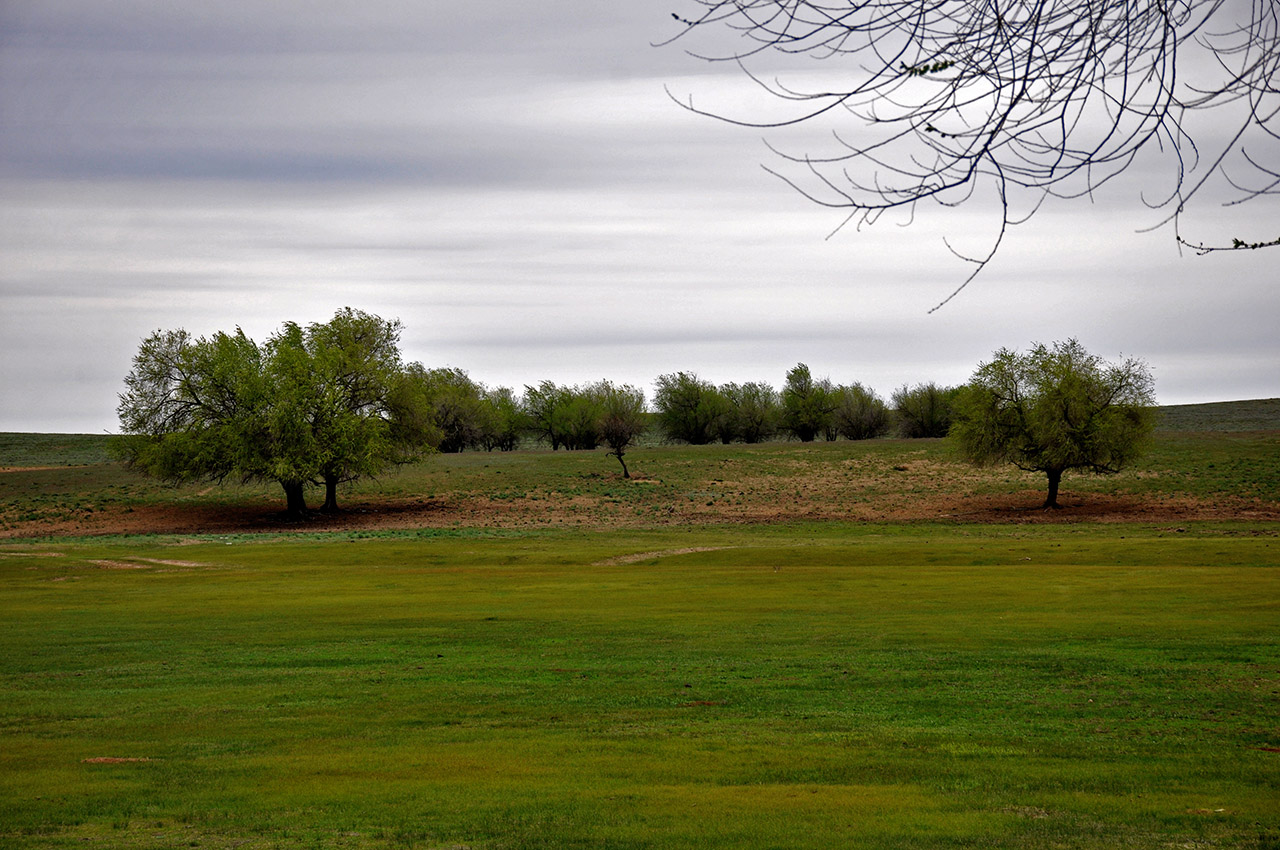 Берег реки Ашулук, image of landscape/habitat.