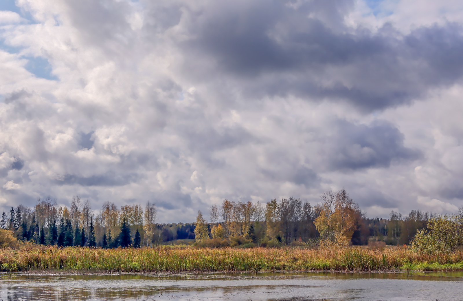 Низовья и устье Полуденной, image of landscape/habitat.