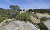 Image of landscape