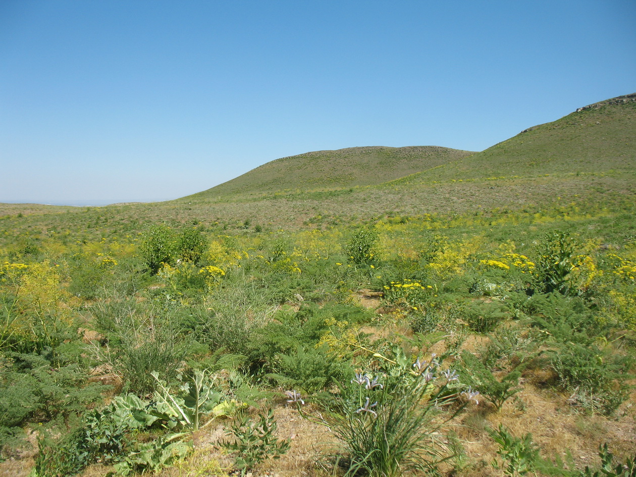 Улькунбурултау (север), изображение ландшафта.