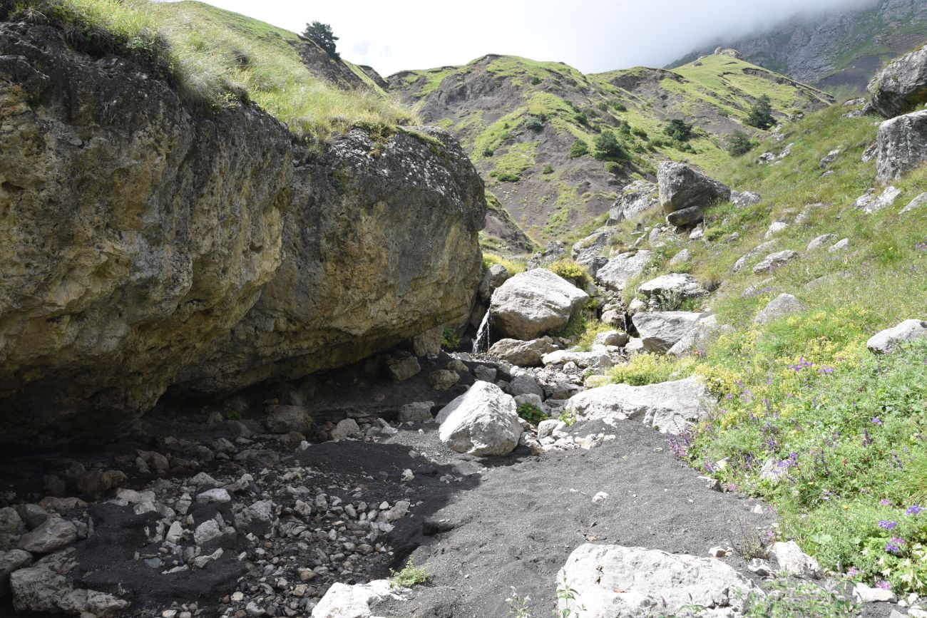 Альплагерь "Кязи" и окрестности, image of landscape/habitat.