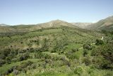 Image of landscape