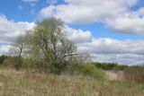 Езерище и окрестности, image of landscape/habitat.