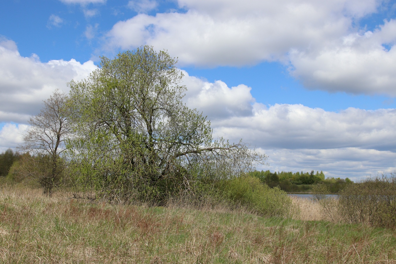 Езерище и окрестности, image of landscape/habitat.