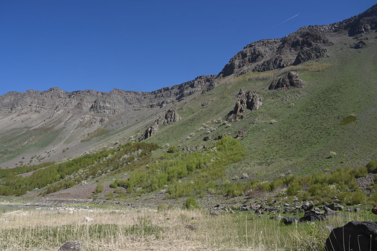 Окрестности озера Ылы, image of landscape/habitat.