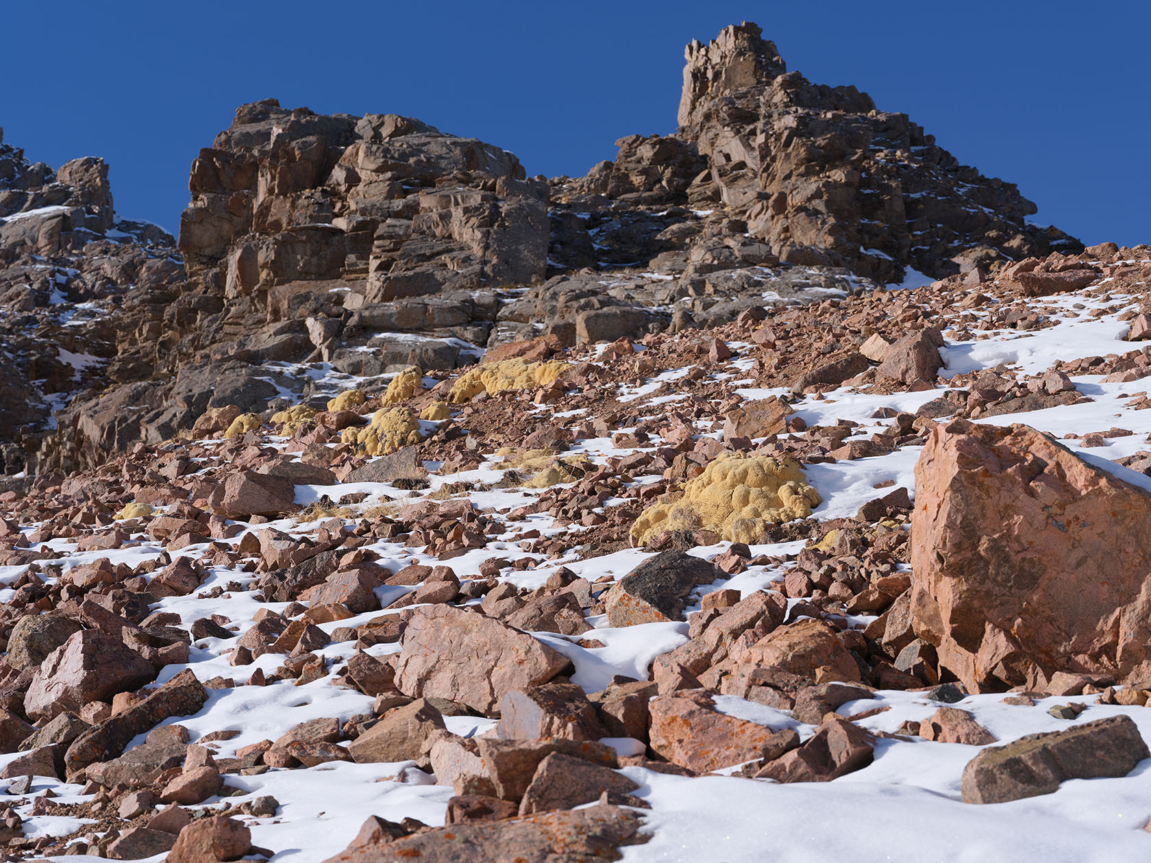 Перевал Талгар, image of landscape/habitat.