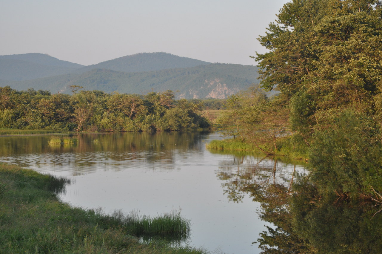 Терней, image of landscape/habitat.