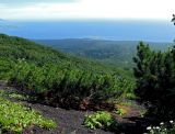 Image of landscape