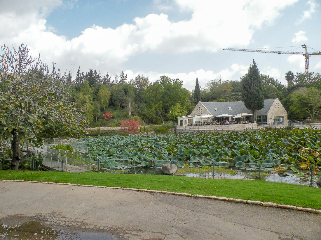 Иерусалимский Ботсад, image of landscape/habitat.