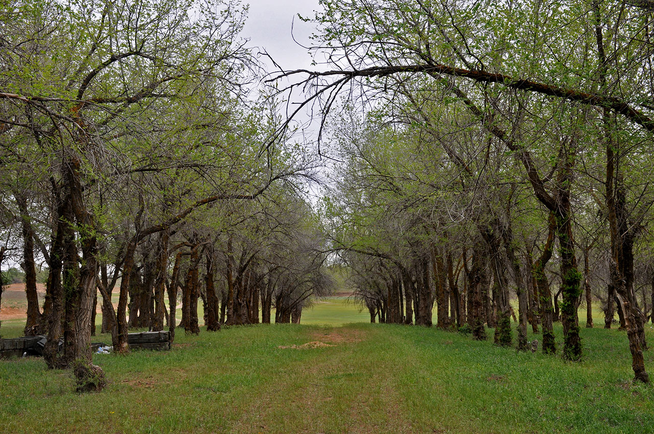 Берег реки Ашулук, image of landscape/habitat.