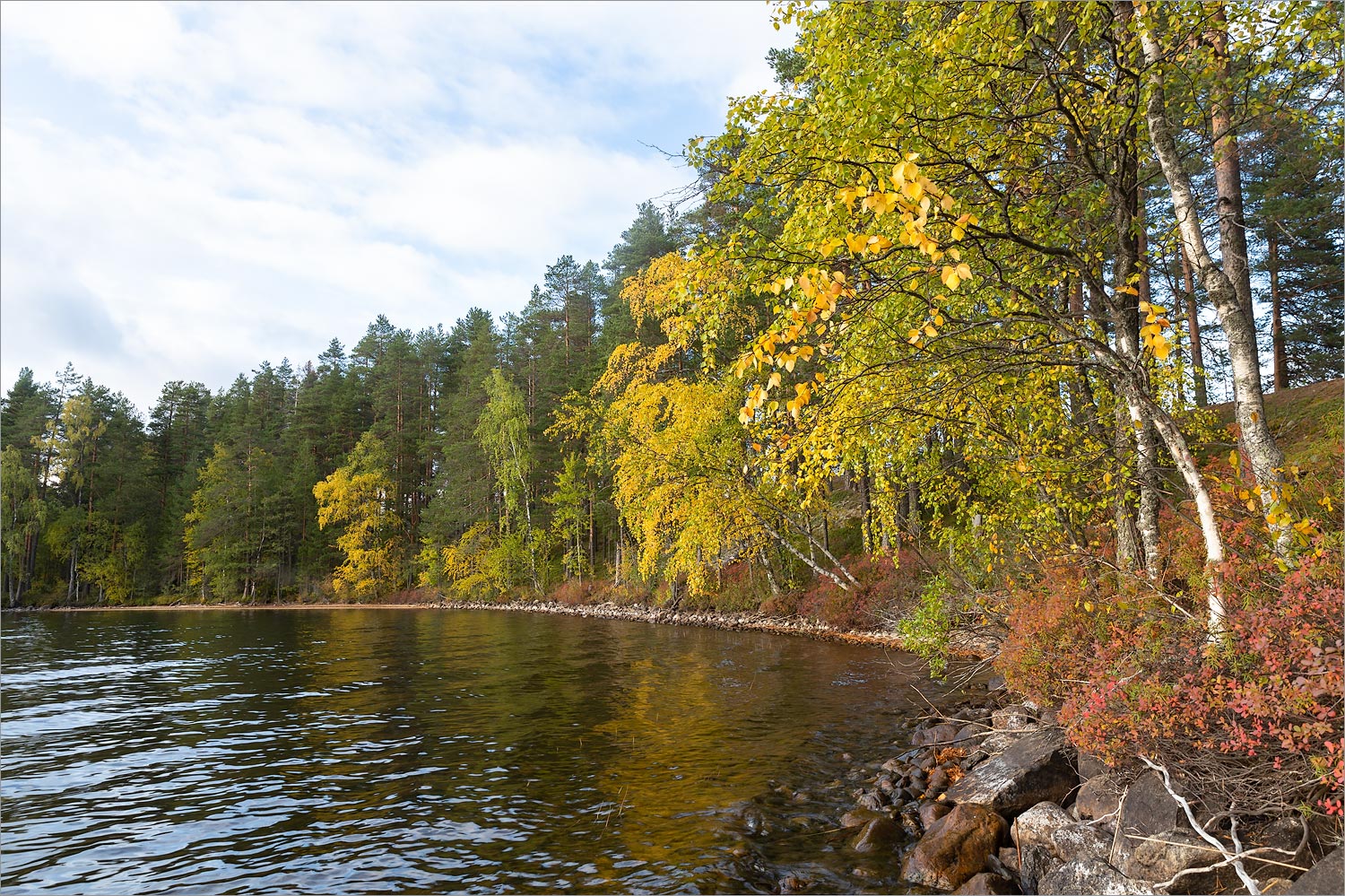 Толвоярви, image of landscape/habitat.