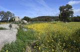 Image of landscape