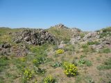 Улькунбурултау (север), image of landscape/habitat.