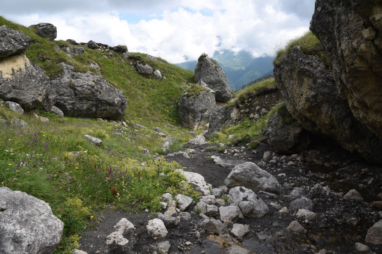 Альплагерь "Кязи" и окрестности, image of landscape/habitat.