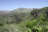 Image of landscape