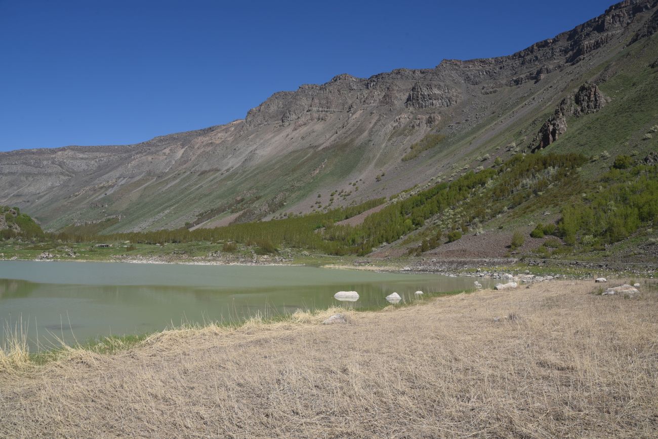 Окрестности озера Ылы, image of landscape/habitat.