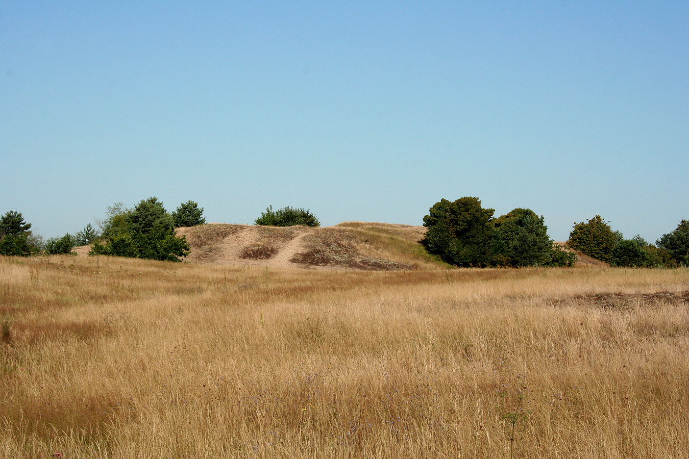 Млын, image of landscape/habitat.