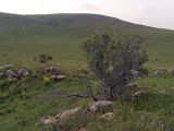 Image of landscape