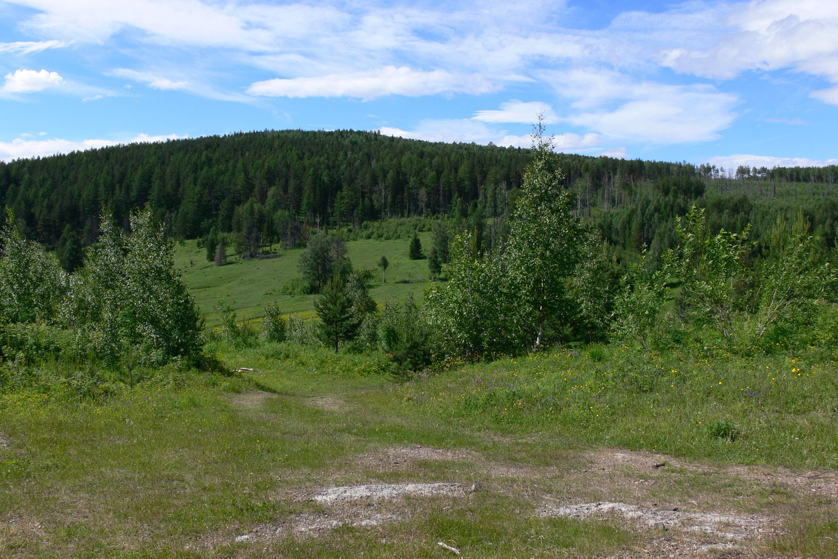 Воскресенка, image of landscape/habitat.