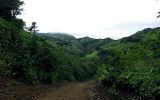 Image of landscape