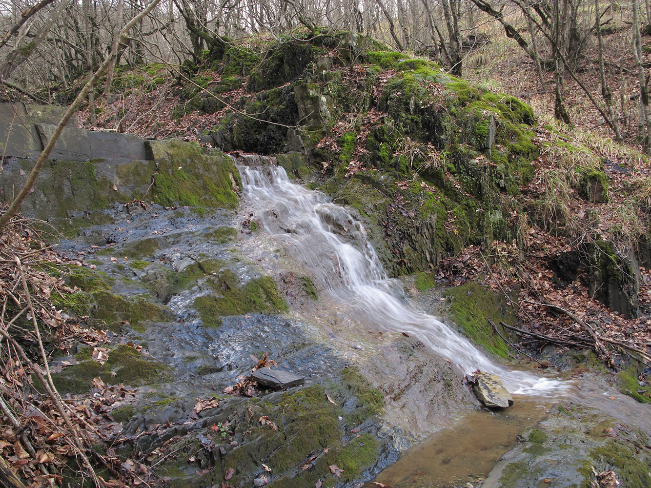 Каскадный ручей, image of landscape/habitat.