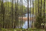 Image of landscape
