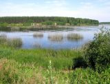 Рыбинское водохранилище, изображение ландшафта.