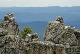 Image of landscape