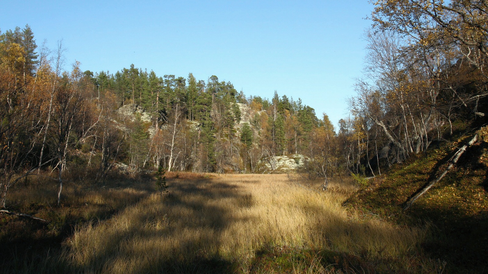 Могильный Ров, image of landscape/habitat.