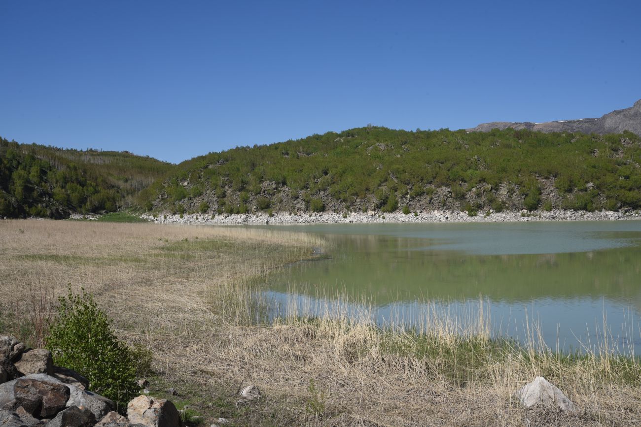 Окрестности озера Ылы, image of landscape/habitat.