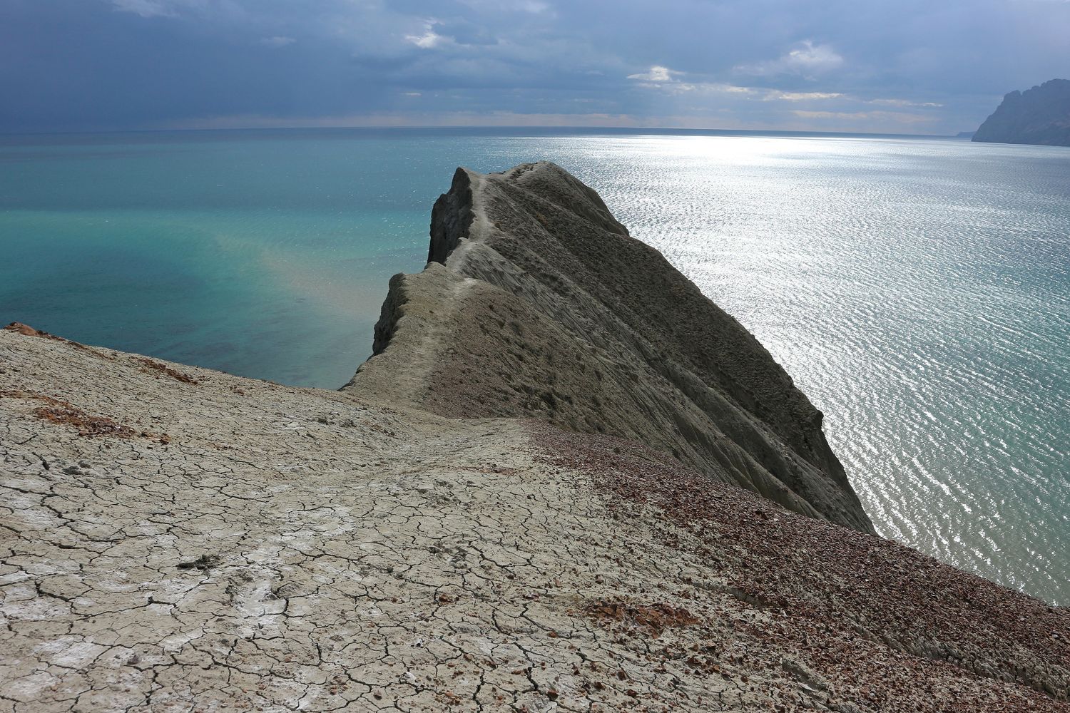 Хамелеон, image of landscape/habitat.