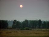 Image of landscape