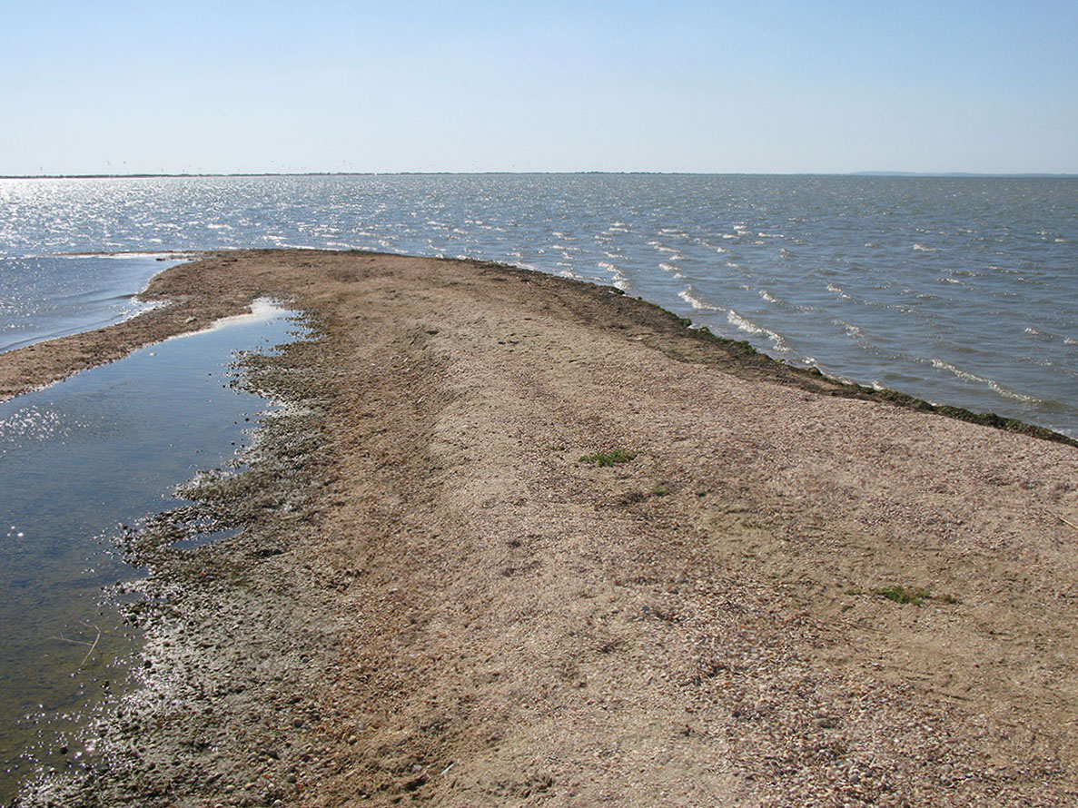 Кизилташский лиман, image of landscape/habitat.