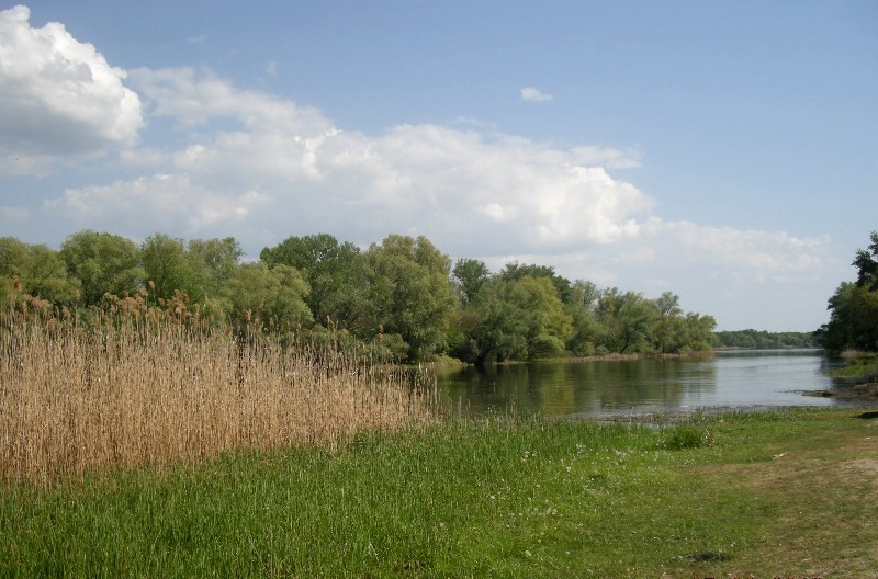 Окрестности села Разумовка, image of landscape/habitat.