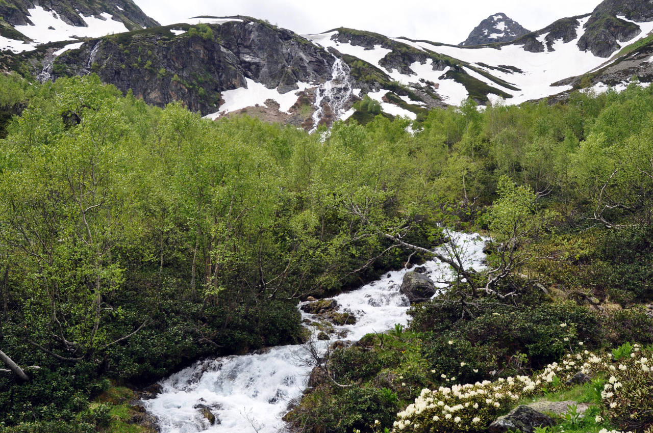 Долина реки Малая Дукка, image of landscape/habitat.
