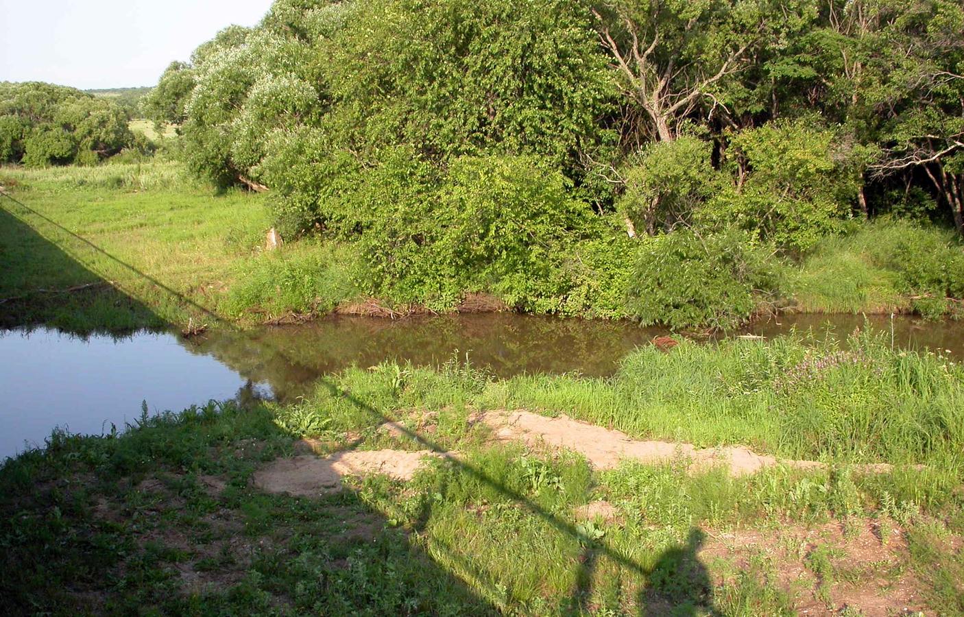 Новокачалинск, image of landscape/habitat.