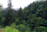 Image of landscape