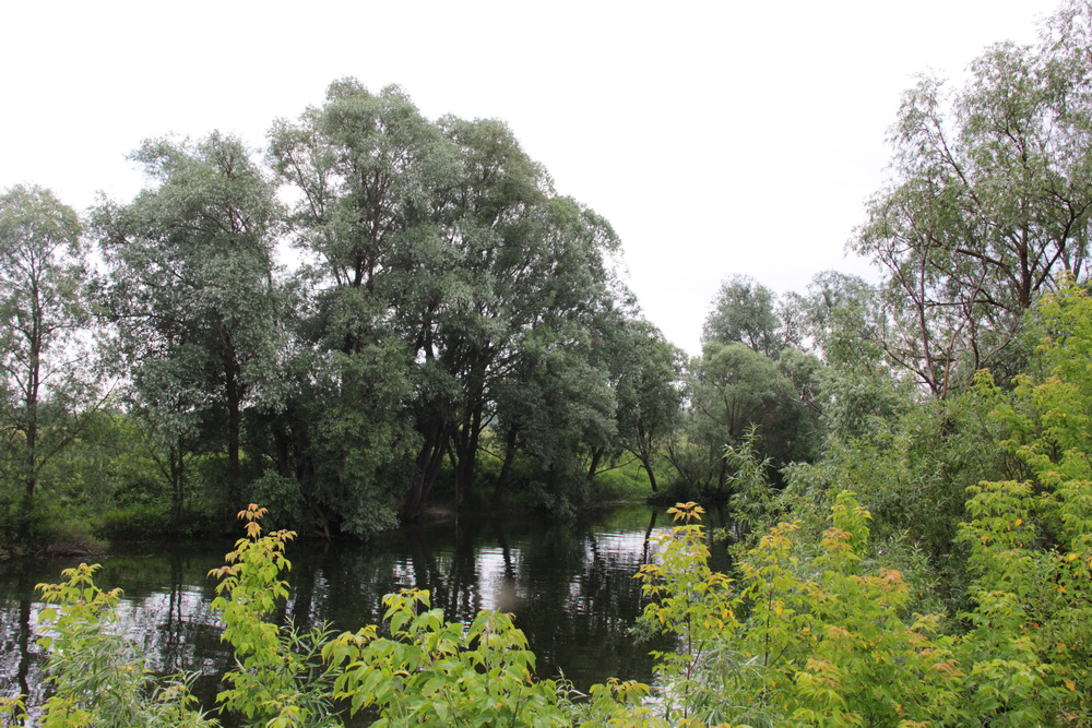 Голубое озеро, image of landscape/habitat.