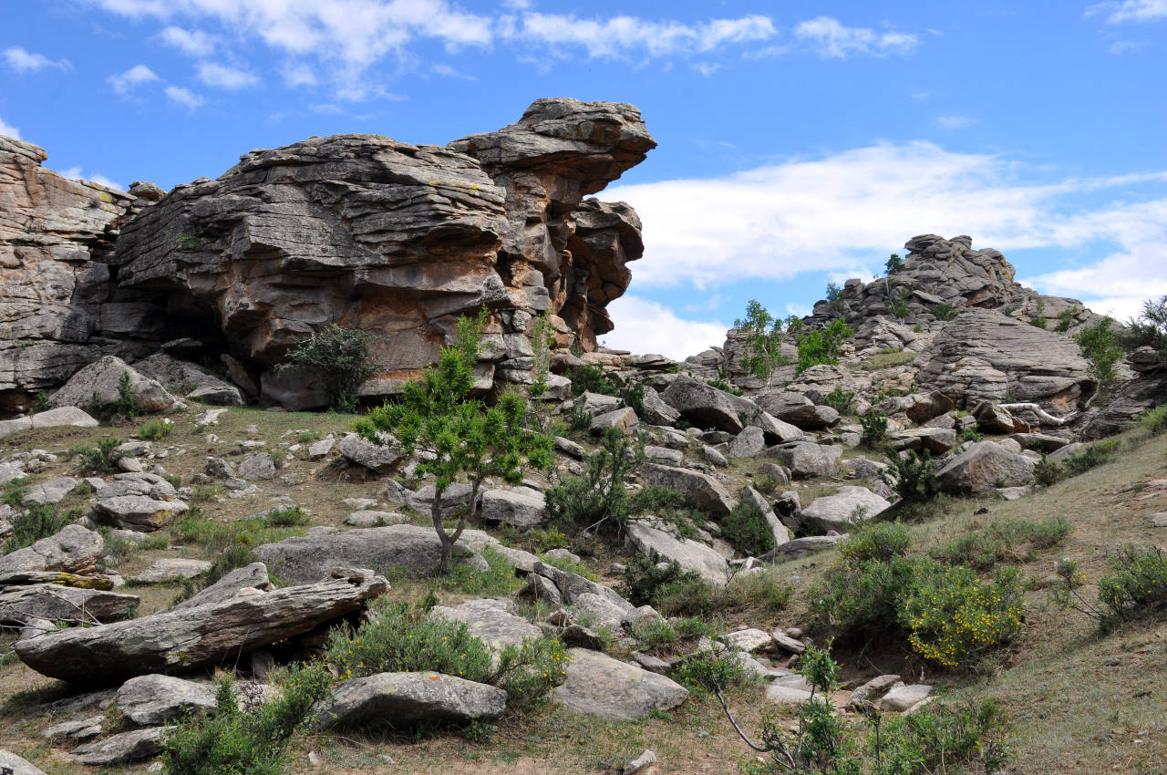 Окрестности города Эрдэнэсант, image of landscape/habitat.