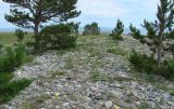 Image of landscape