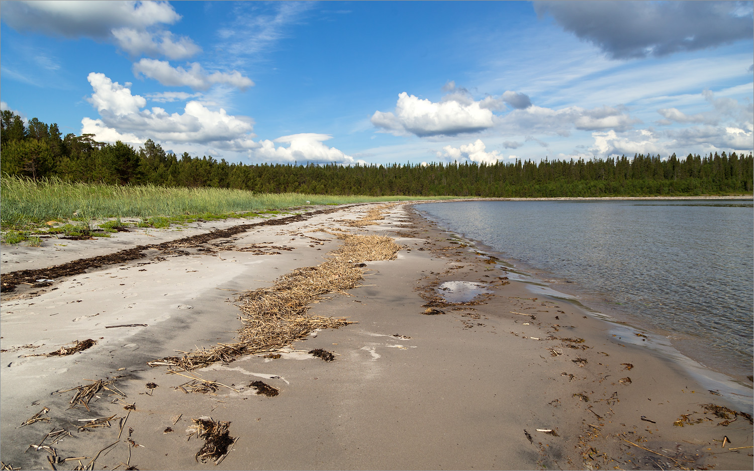 Мыс Носок, image of landscape/habitat.