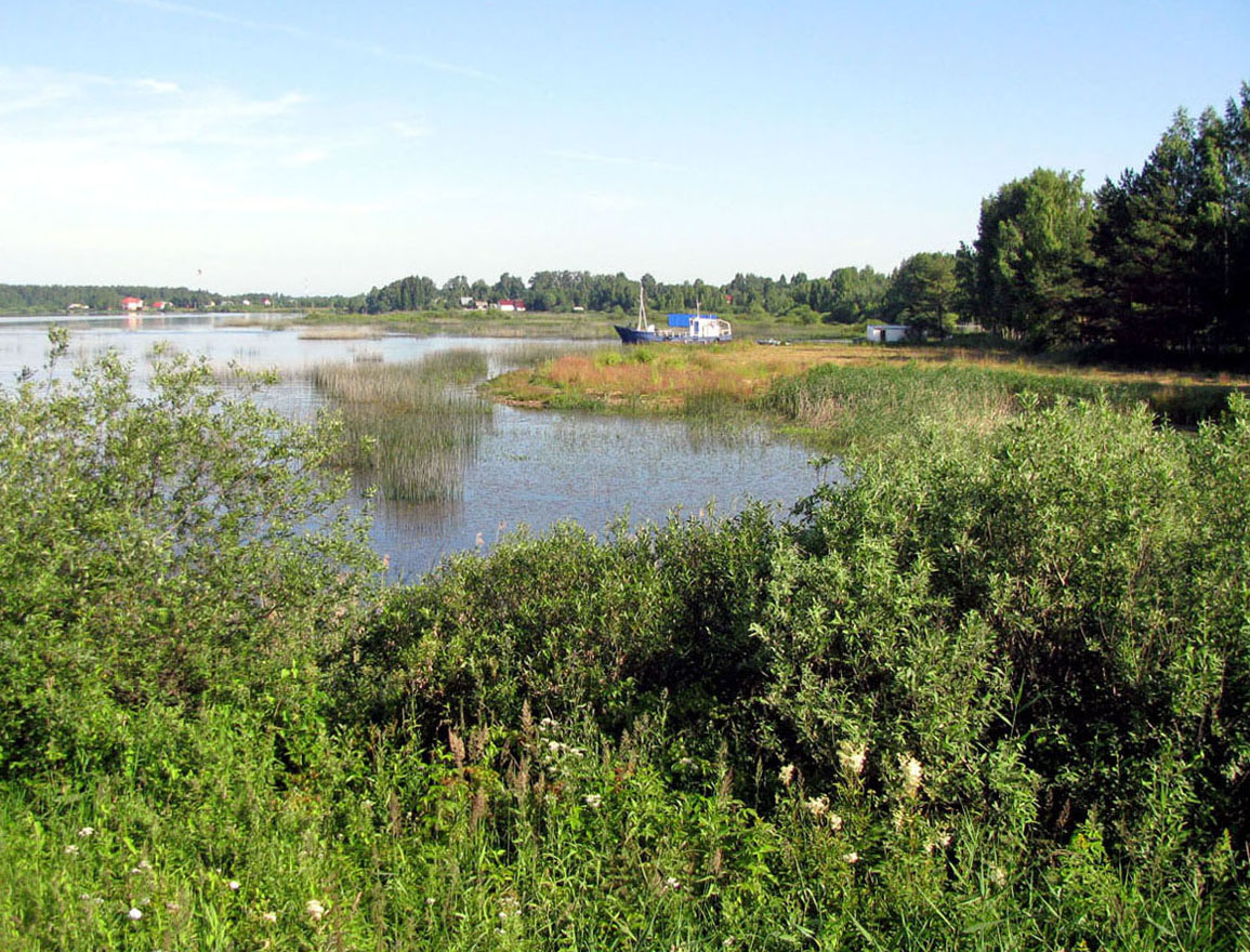 Рыбинское водохранилище, image of landscape/habitat.