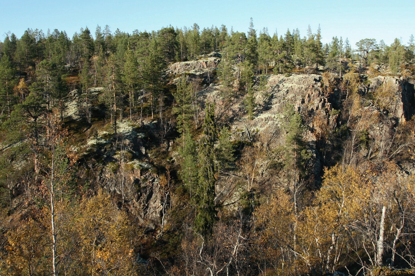 Могильный Ров, image of landscape/habitat.